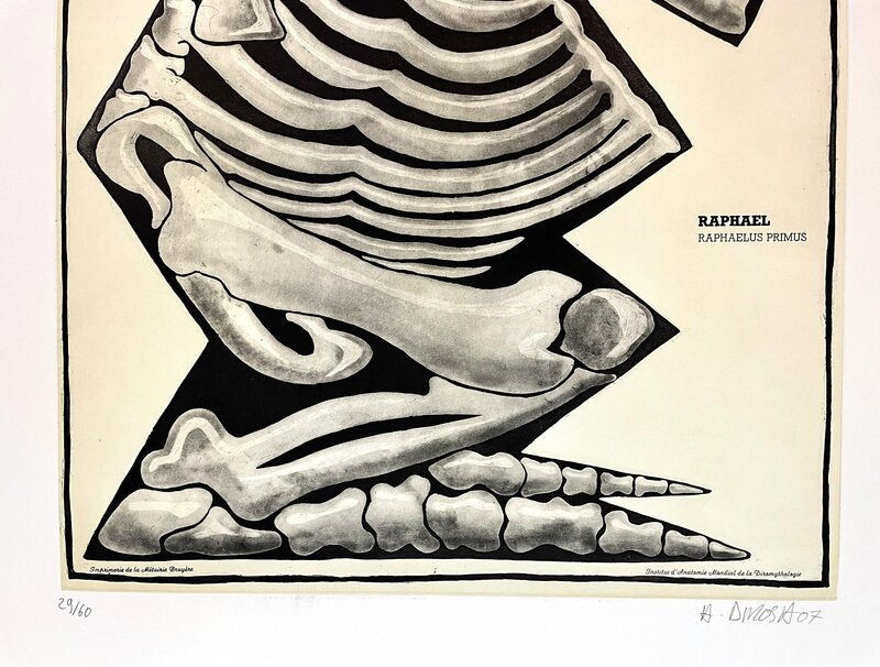 Raphaël de Hervé Di Rosa, 2007 (vue 2)