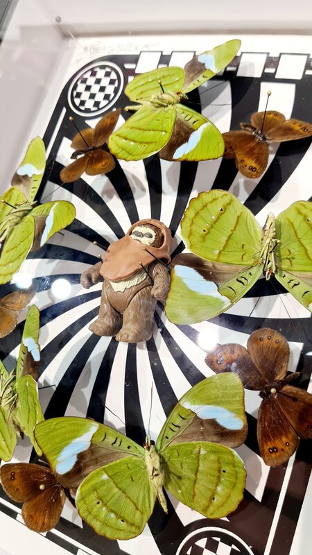 Ewok - Ronde de papillons by Benjamin Pietri, 2021 (view 3)