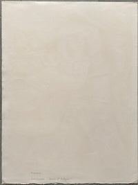 Vénus et Arlequin de Theo Tobiasse, vers 1990 (vue 4)