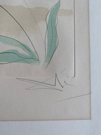 Le Chêne et le Roseau by Salvador Dalí, 1974 (view 2)