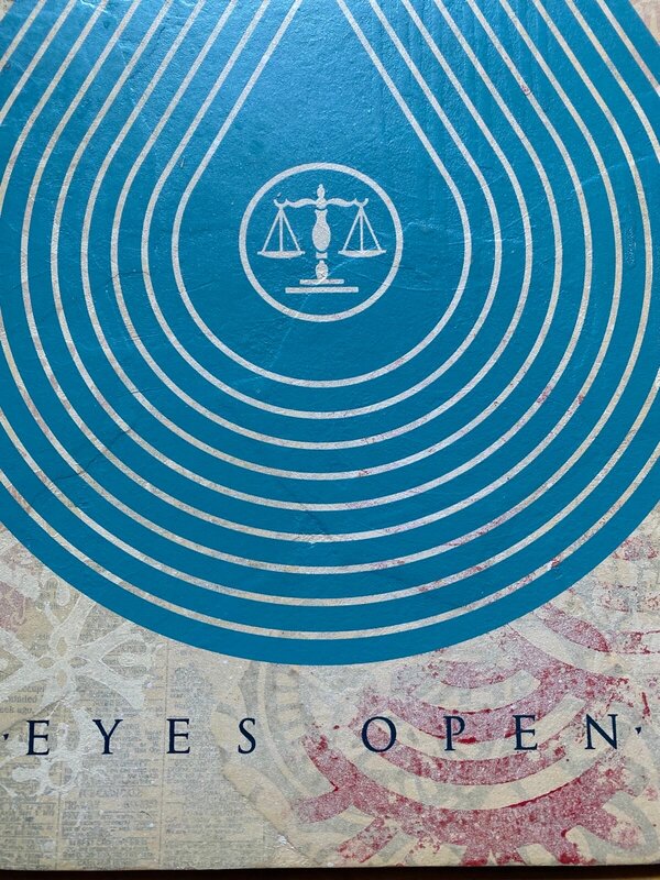 Wide Awake Eyes Open by Shepard Fairey, 2020 (view 3)