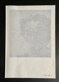 Autoportrait à la bouche ouverte d'Avigdor Arikha, 1990 (vue 3)