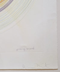 Spinning Around de Damien Hirst, 2002 (vue 2)