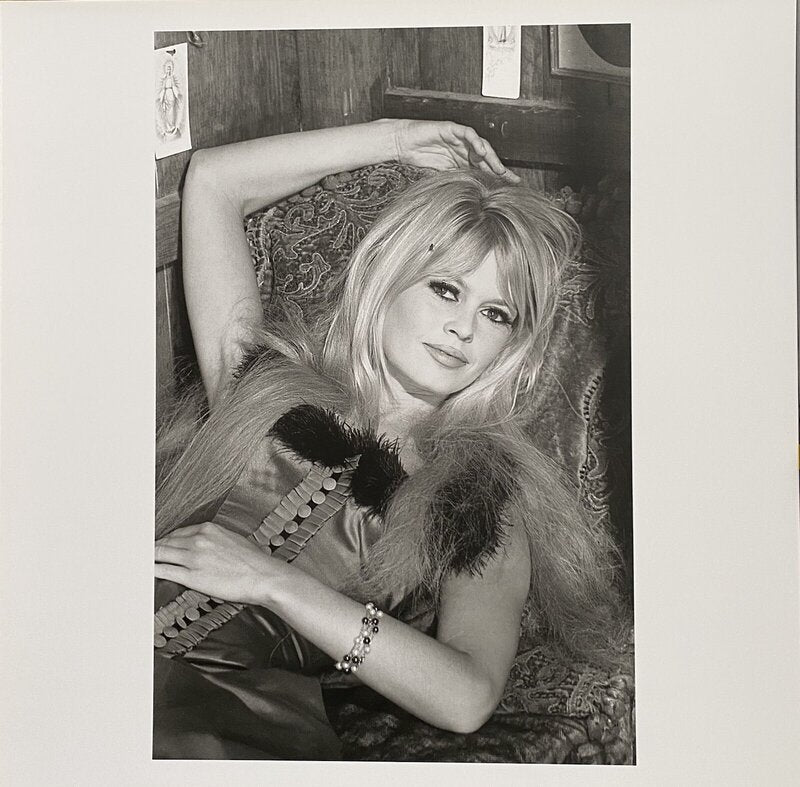 Brigitte Bardot de Léonard de Raemy, 2015