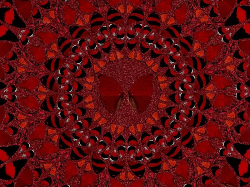 Suiko (H10-4) de Damien Hirst, 2022 (vue 6)