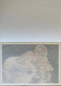 Ukiyo-e Shunga Edo Era by Kitagawa Utamaro, 1995 (view 2)