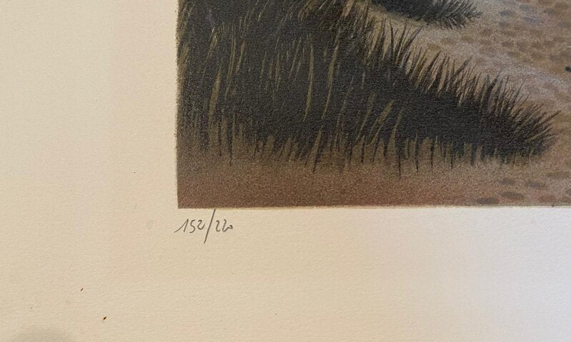 Zuydcoot de Xavier Degans, 1984 (vue 2)