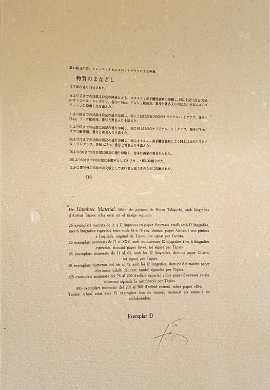 Llambrec Material by Antoni Tàpies, 1975 (view 2)