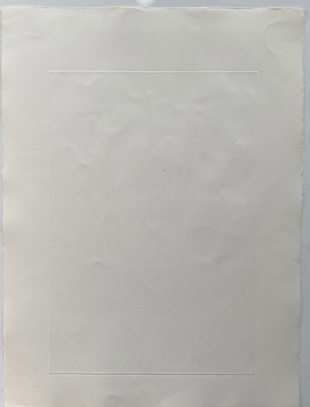 La Cour du Lion by Salvador Dalí, 1974 (view 4)