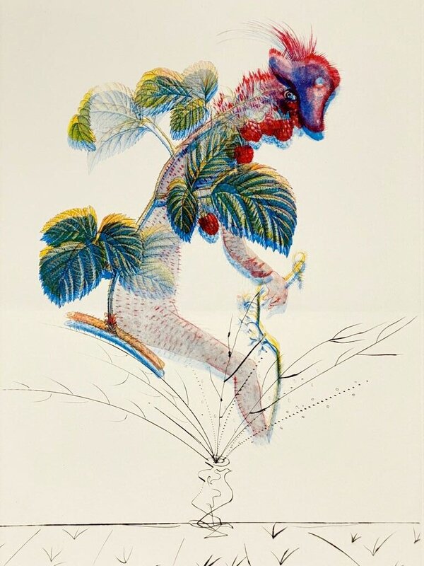 Flordali - Framboisier de Salvador Dalí, 1969 (vue 2)