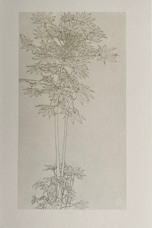 Aralia IV de Sam Szafran, 1990