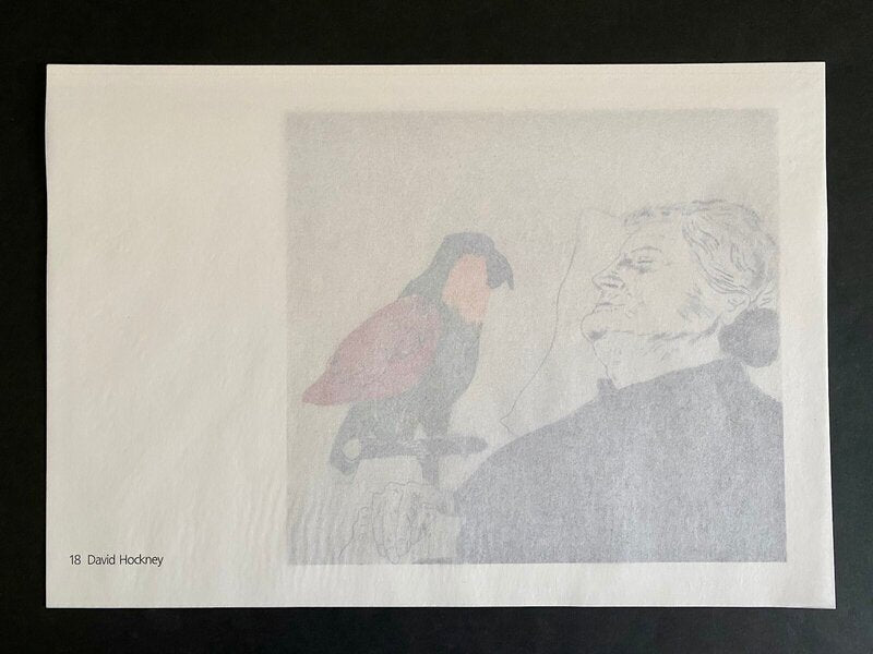 La mère de l'artiste au perroquet by David Hockney, 1990 (view 2)