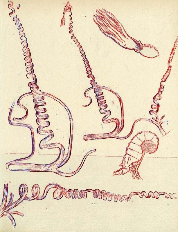 Composition de Max Ernst, 1974