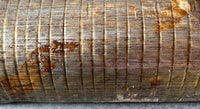 Nature morte by Louis Toffoli, 1996 (view 4)