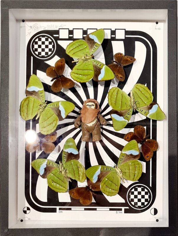 Ewok - Ronde de papillons by Benjamin Pietri, 2021