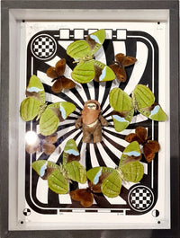 Ewok - Ronde de papillons by Benjamin Pietri, 2021