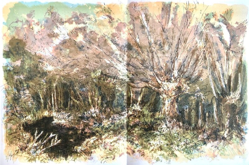 Forêt voisine de Théophile Alexandre Steinlen, 1970