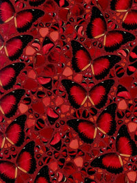 Taytu Betul (H10-5) de Damien Hirst, 2022 (vue 5)