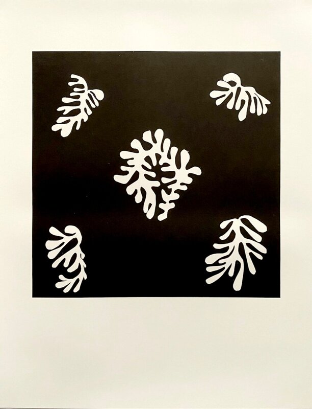 Voile de Calice Noir by Henri Matisse, 1950-52