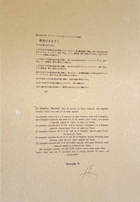 Llambrec Material by Antoni Tàpies, 1975 (view 2)