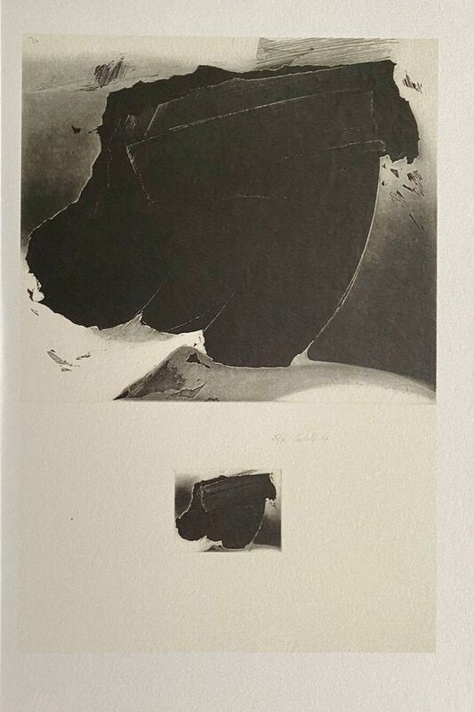 Identification no 5 by Christiane Vielle, 1990