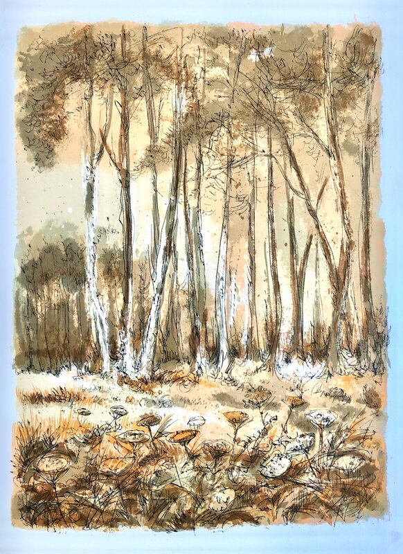 Forêt voisine de Théophile Alexandre Steinlen, 1970