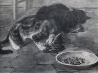 Chats et Autres Bêtes de Théophile Alexandre Steinlen, 1933