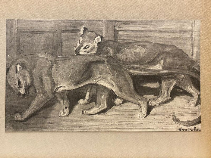 Chats et Autres Bêtes de Théophile Alexandre Steinlen, 1933