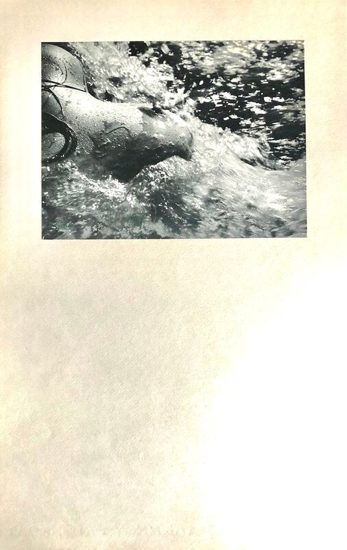 Née de la Vague (Born of the Waves) de Lucien Clergue, 1968