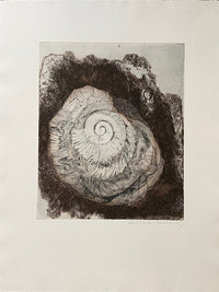 Petrification by Erika Meyer-Bothling, 1978