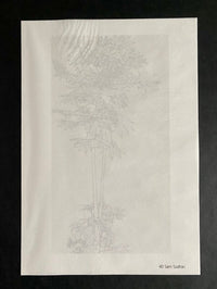 Aralia IV by Sam Szafran, 1990 (view 2)