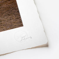 Trompe l'oeil, Greetings from Giza, 22 octobre 2021, 16h44, Giza, Egypte de JR, 2021 (vue 3)