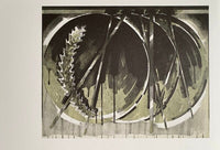 Nuit No III de Gérard Titus-Carmel, 1990