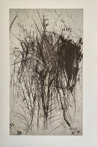 Idol de Rolf Iseli, 1990