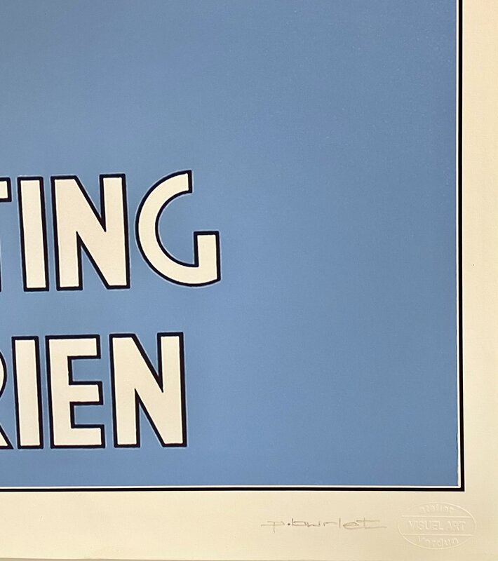 Meeting aérien by Philippe Burlet, 2014 (view 3)