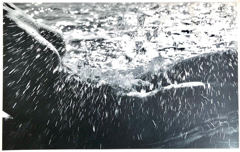 Née de la Vague (Born of the Waves) by Lucien Clergue, 1968