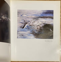 Peintures, Encres de Chine de Zao Wou-Ki 趙無極, 1981 (vue 3)