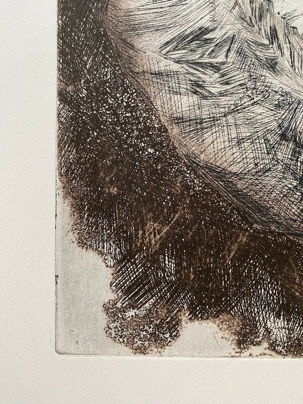 Petrification by Erika Meyer-Bothling, 1978 (view 4)