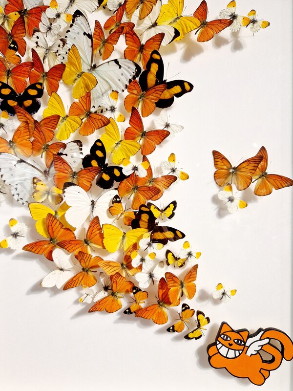Mr Chat Orange de Benjamin Pietri,, 2023 (vue 2)