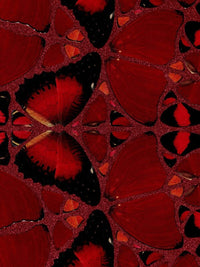 Suiko (H10-4) de Damien Hirst, 2022 (vue 4)