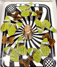 Ewok - Ronde de papillons by Benjamin Pietri, 2021 (view 2)