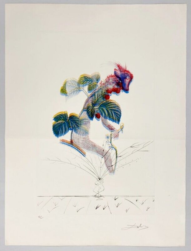 Flordali - Framboisier de Salvador Dalí, 1969