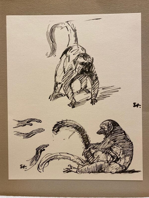 Chats et Autres Bêtes de Théophile Alexandre Steinlen, 1933 (vue 2)