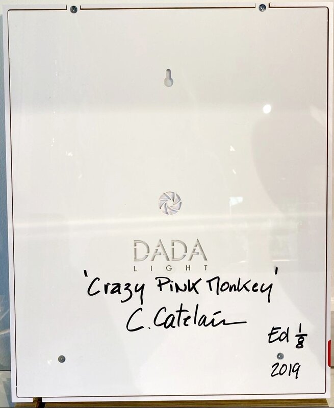 Crazy Pink Monkey de Christophe Catelain, 2019 (vue 3)