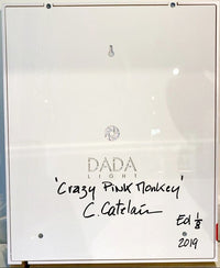 Crazy Pink Monkey de Christophe Catelain, 2019 (vue 3)