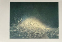 L'ombre, la lumière de Jean-Pierre Velly, 1990
