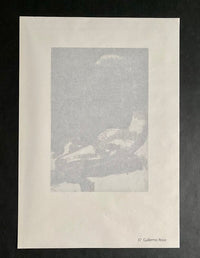 Untitled de Guillermo Roux, 1990 (vue 2)