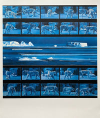 Dream tiger No 4 by Jacques Monory, 1972