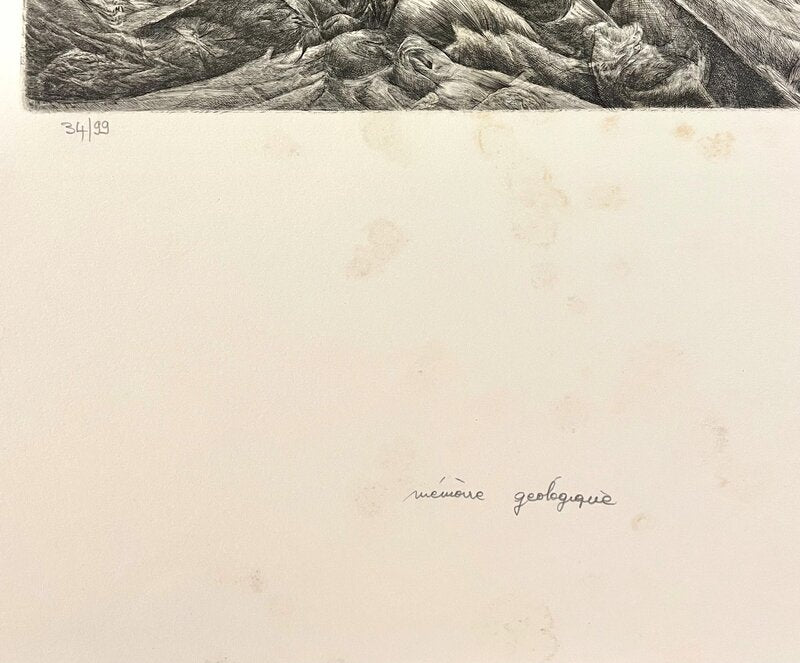 Mémoire Géologique by Yves Doaré, 1975 (view 3)
