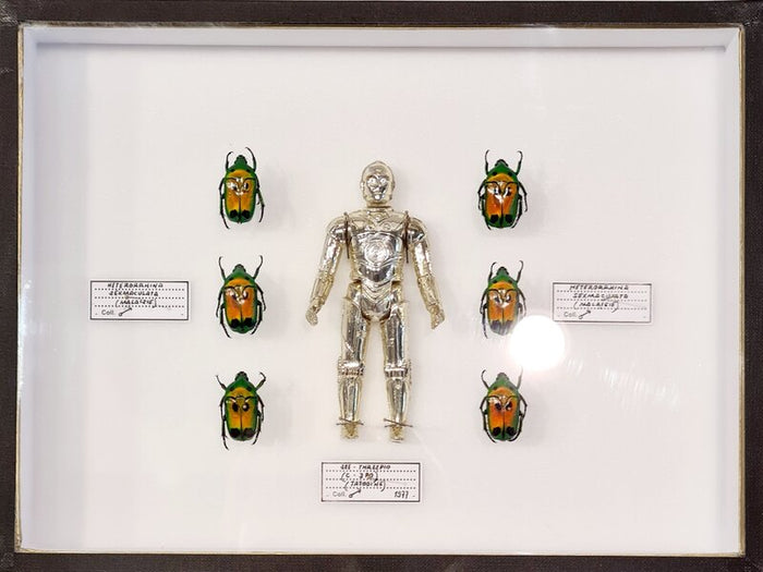 C-3PO by Benjamin Pietri, 2021
